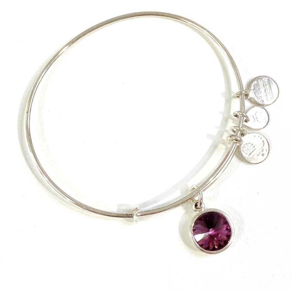 Alex and Ani February Amethyst Crystal Shiny Silver Bracelet